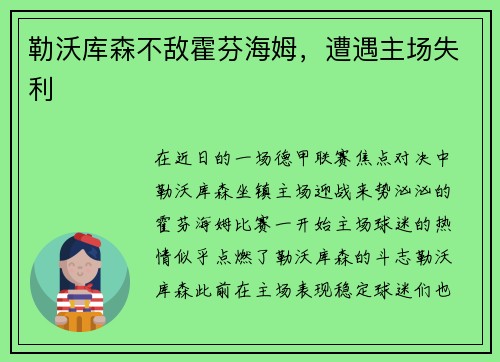 勒沃库森不敌霍芬海姆，遭遇主场失利
